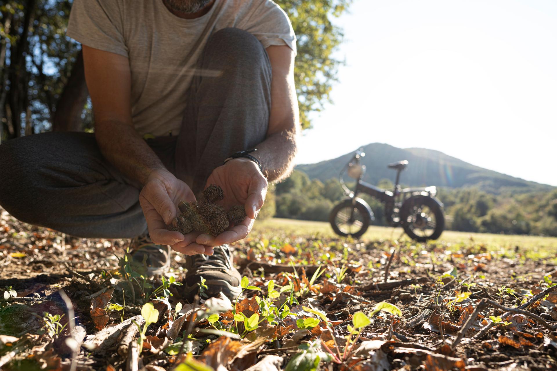 Bicycle Traveller Foraging Acorns in Forest with E-Bike.